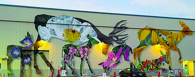 Photo provided by Carson City of Erik Burke’s mural on the south-facing wall of the Carson City Community Center.
