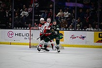 photo thumbnail