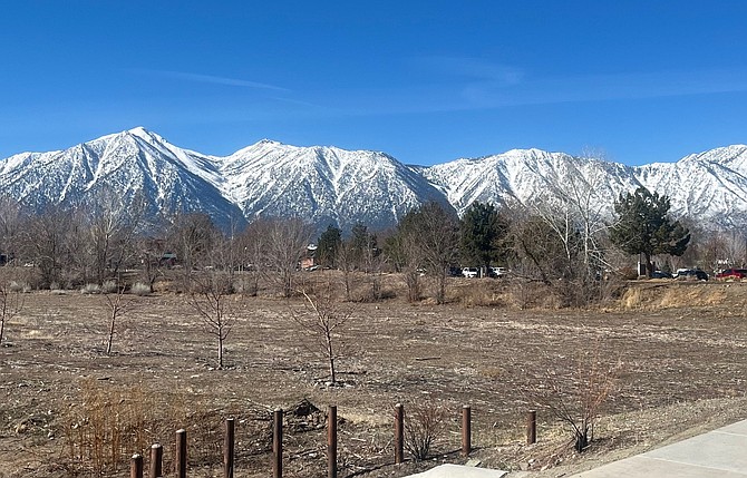 A beautiful day along Martin Slough Trail on Sunday.