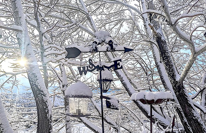 Topaz Ranch Estates resident John Flaherty reports a few inches of snow at his place. There was as much snow in the trees as on the ground this morning in Genoa.