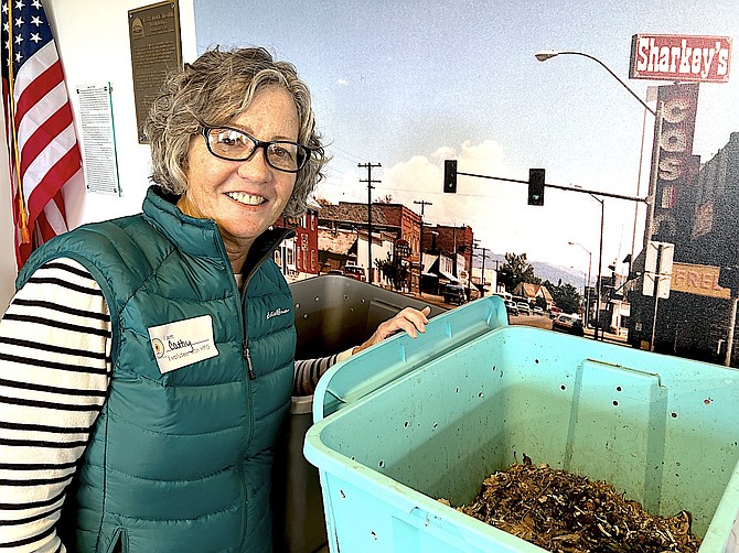 Master Gardener Cathy Fields displays one of her homemade worm bins at last year’s Heritage Park Garden Spring Forum and Expo. This year the Expo will be conducted at the Heritage Park Gardens instead of at Gardnerville Station.