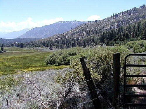 Horse Creek Ranch in the mountains of west Carson City.