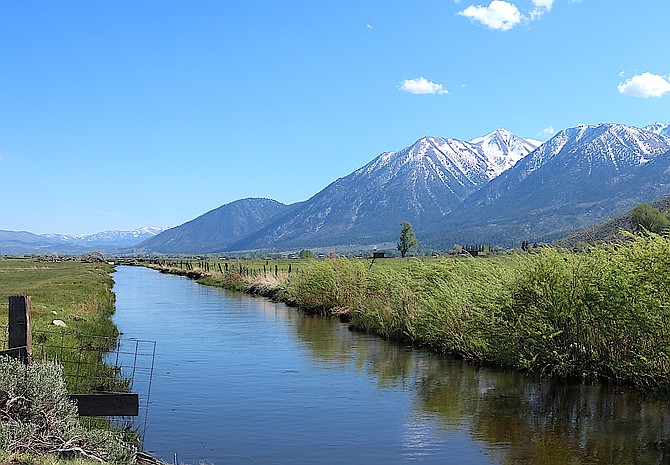 Brockliss Slough stretches south of Muller Lane in Carson Valley on Thursday.
