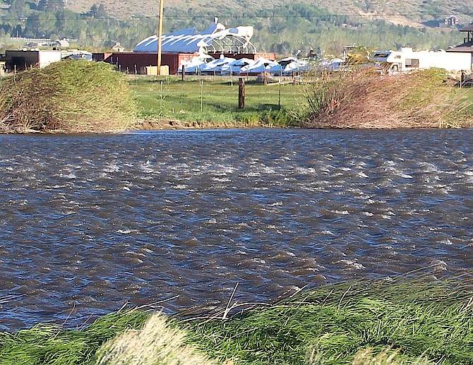 Whitecaps are visible in a pond along Highway 88 south of Centerville Lane.