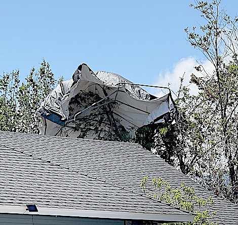 An unidentified blown object stuck in a tree above Purple Sage in the Gardnerville Rancho on Monday.
Photo special to The R-C