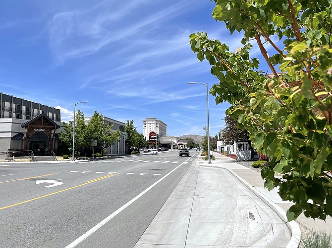 Bright sky and late-spring foliage along South Carson Street on Thursday.