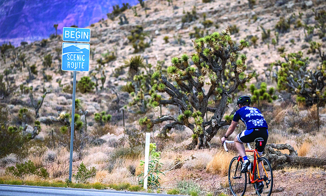 A bicyclist travels on State Route 159 in the Red Rock Canyon National Conservation Area on June 7, 2021.