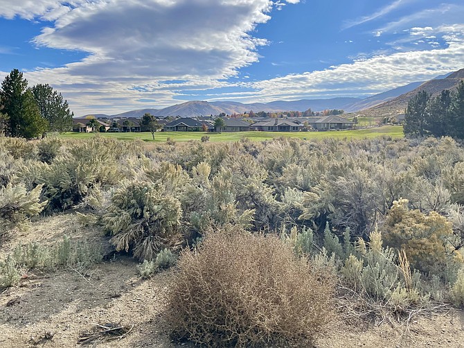 The vacant lot at 1625 Vista Lane slated for a new substance abuse treatment center. A golf course and houses appear in the background on Oct. 30, 2024.