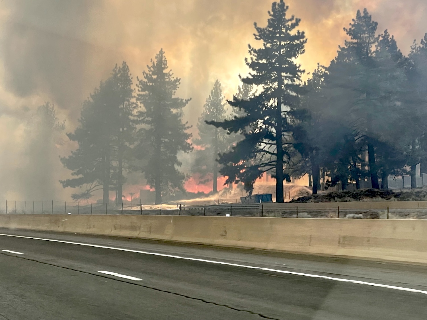 Northern Nevada at above normal wildfire risk