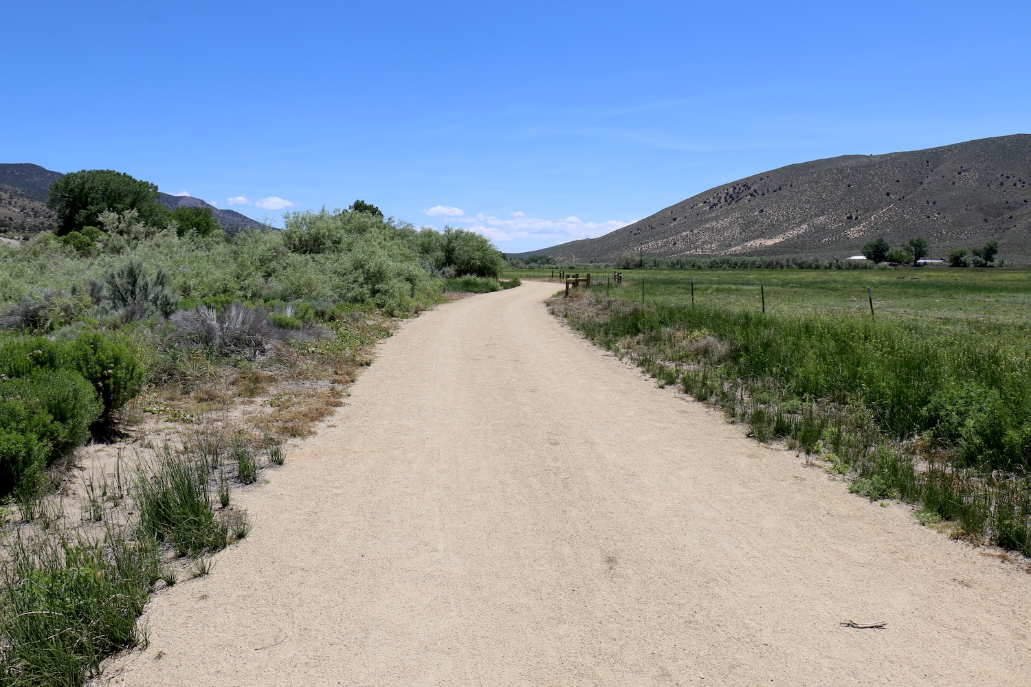 Carson City to spray for mosquitoes Monday