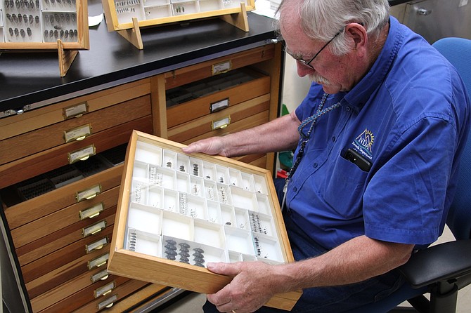 Retiring Nevada State Entomologist Jeff Knight reviewing specimens in the state laboratory in Sparks on June 24, 2025.