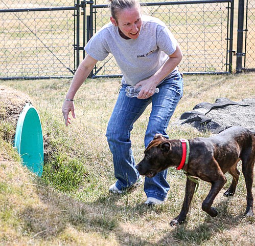 The Everett Animal Shelter’s behavioral trainer Christina McBride works with Wade, one of three dogs brought in together, in the shelter’s dog play yard Tuesday, July 8. 
Her role is to retrain dogs that come into the shelter which are marked as too volatile, too aggressive or too bitey to be available to adopt out, but her contract currently only runs through this year.
