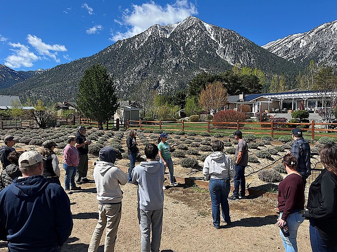 UNR hosts ranching 101 courses | Serving Minden-Gardnerville and Carson ...