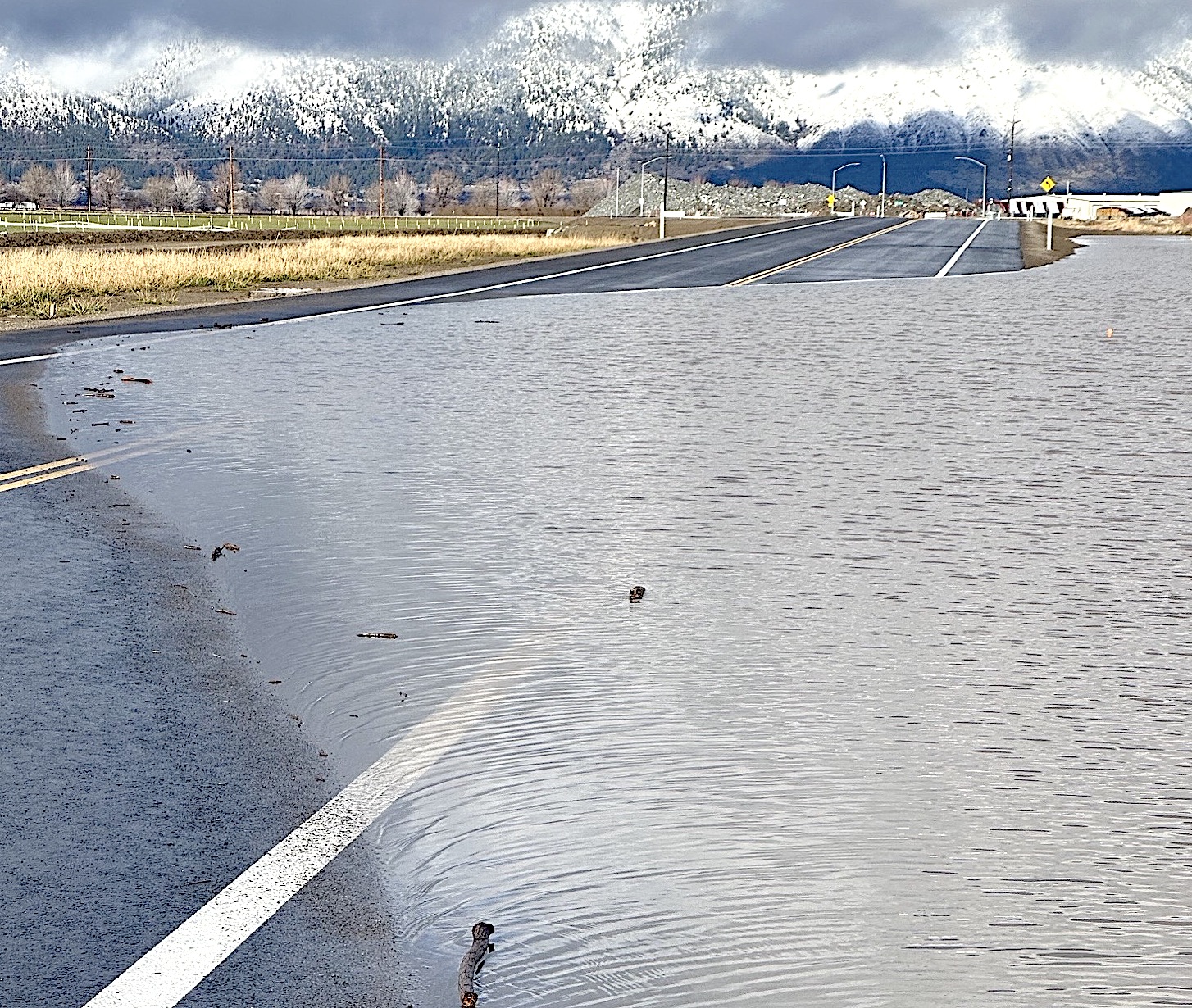Pressure mounts over Parkway work