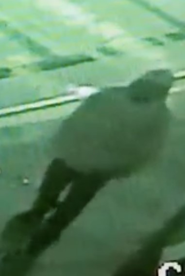 Information sought in late-night burglary at Carson City Aquatic Center