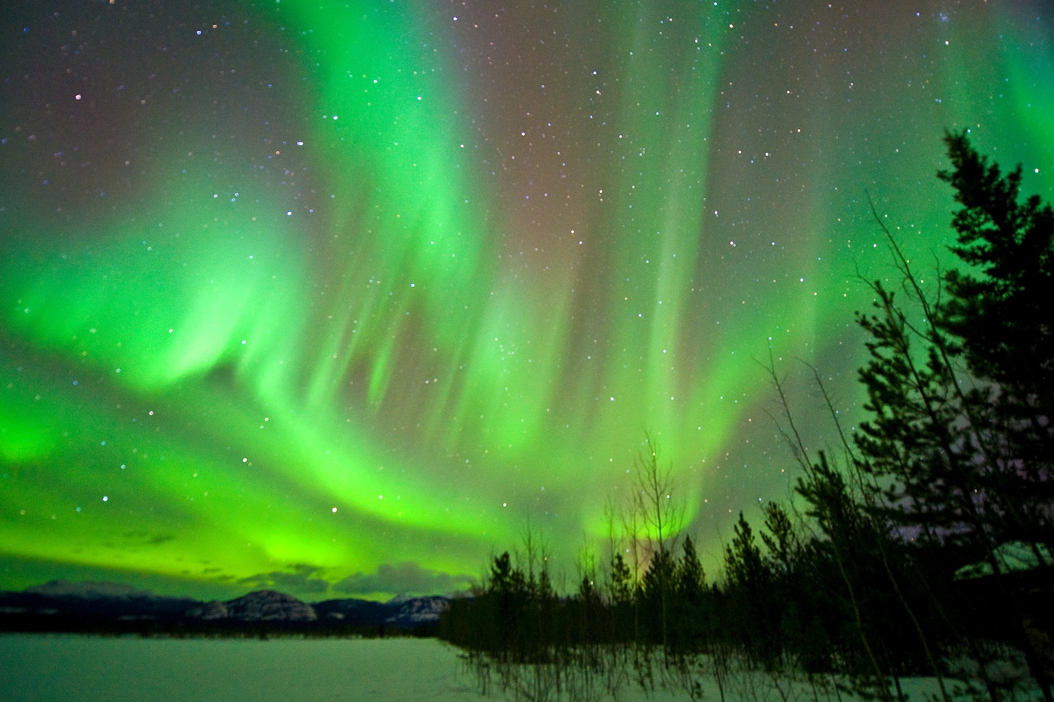 Saison des aurores boréales en cours au Yukon