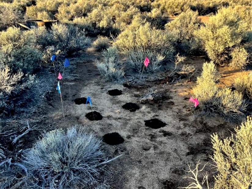Can manure restore rangelands? University of Nevada, Reno researchers are finding out