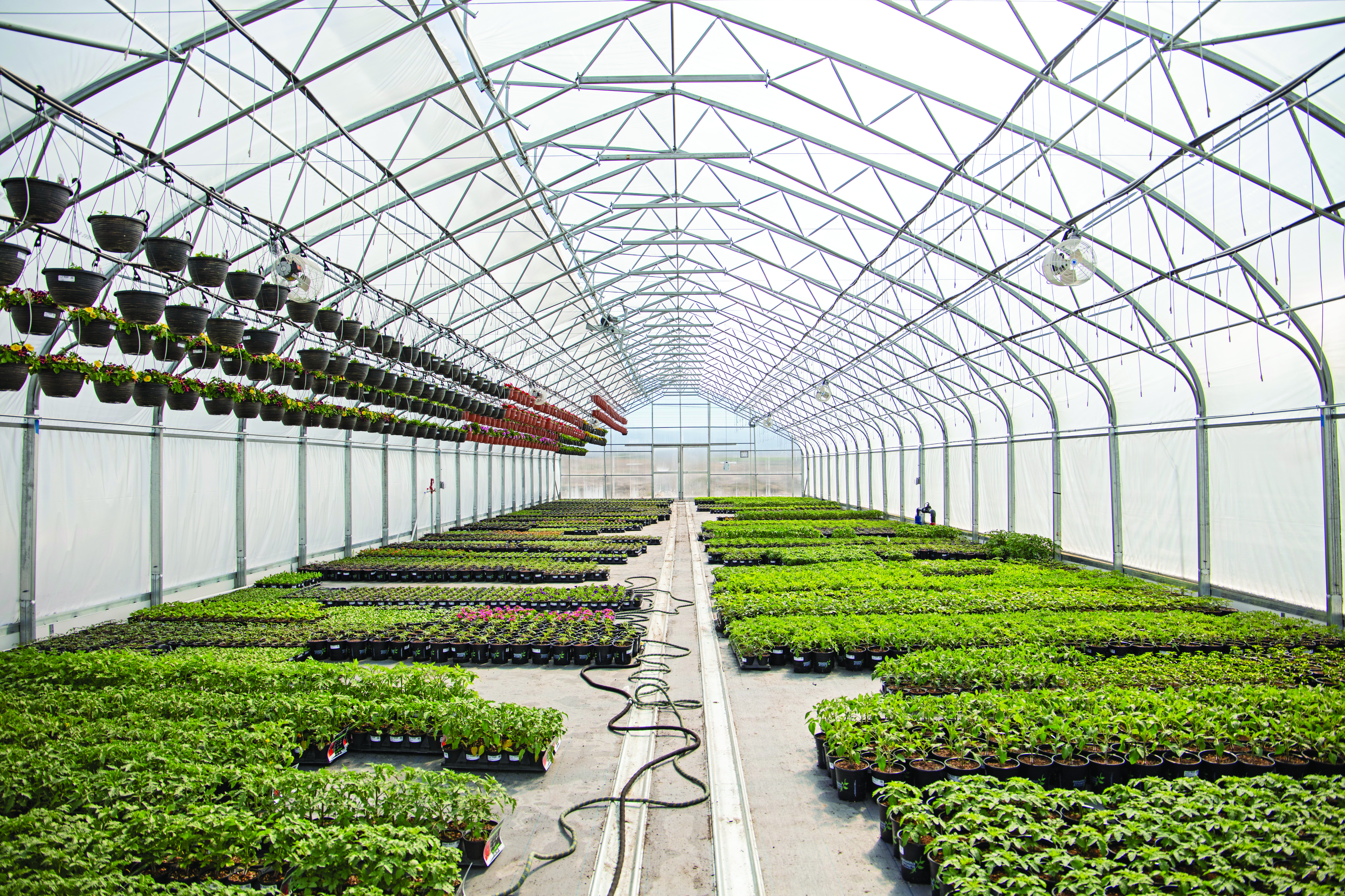 Locally grown, locally sold: Moana Nursery sees blooms after expansion into Douglas County