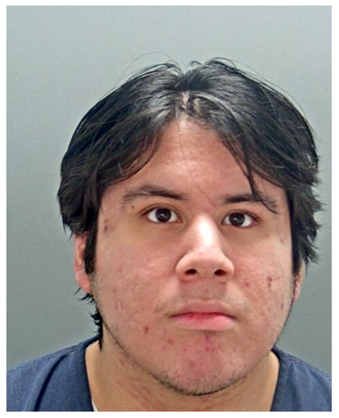 New Jersey man brought to Carson on 13 felonies, including sexual assault of a child