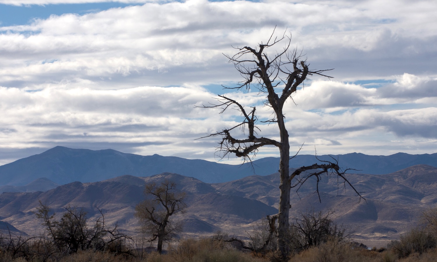 Developer of Lyon County solar plant used water illegally, regulators say