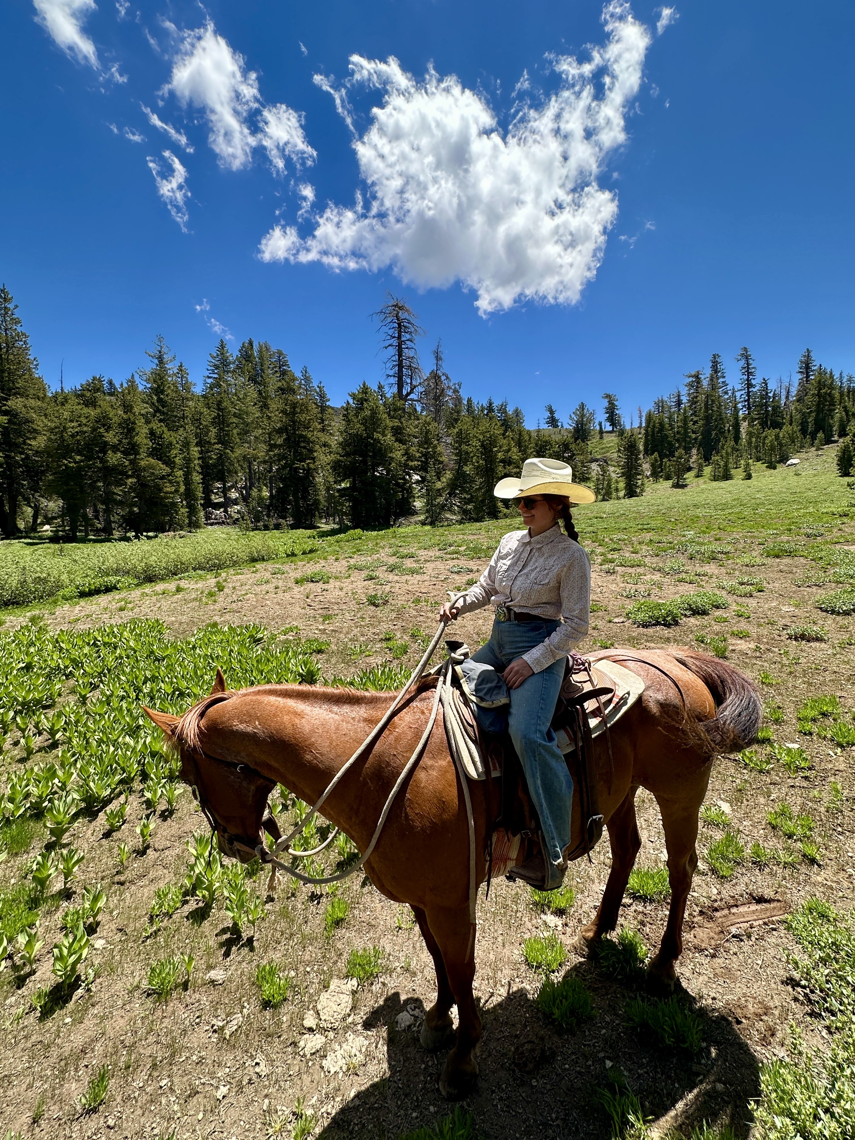 Nature inspires passion at 7,800 feet