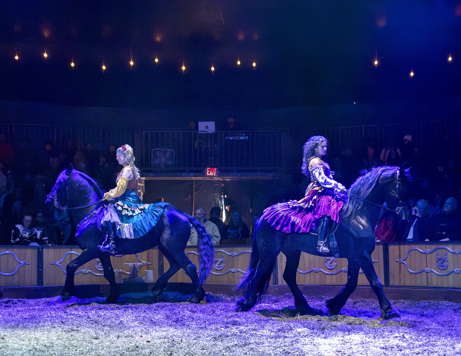 European-style equestrian show coming to Carson City’s Fuji Park