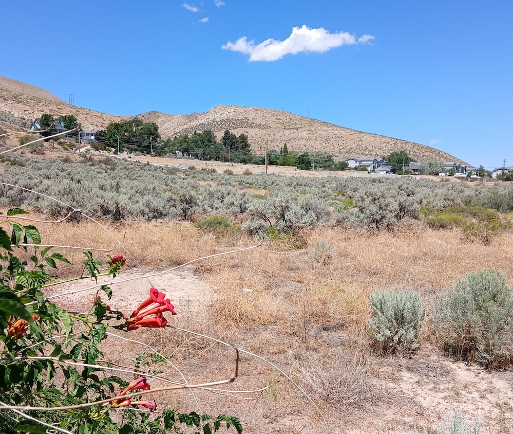 Carson City Planning Commission to consider communications shelter, storage facility