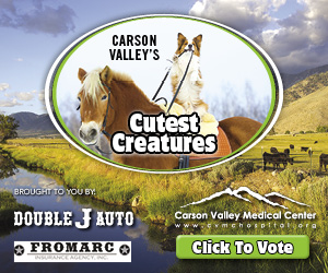 The Record Courier | Serving Minden-Gardnerville and Carson Valley