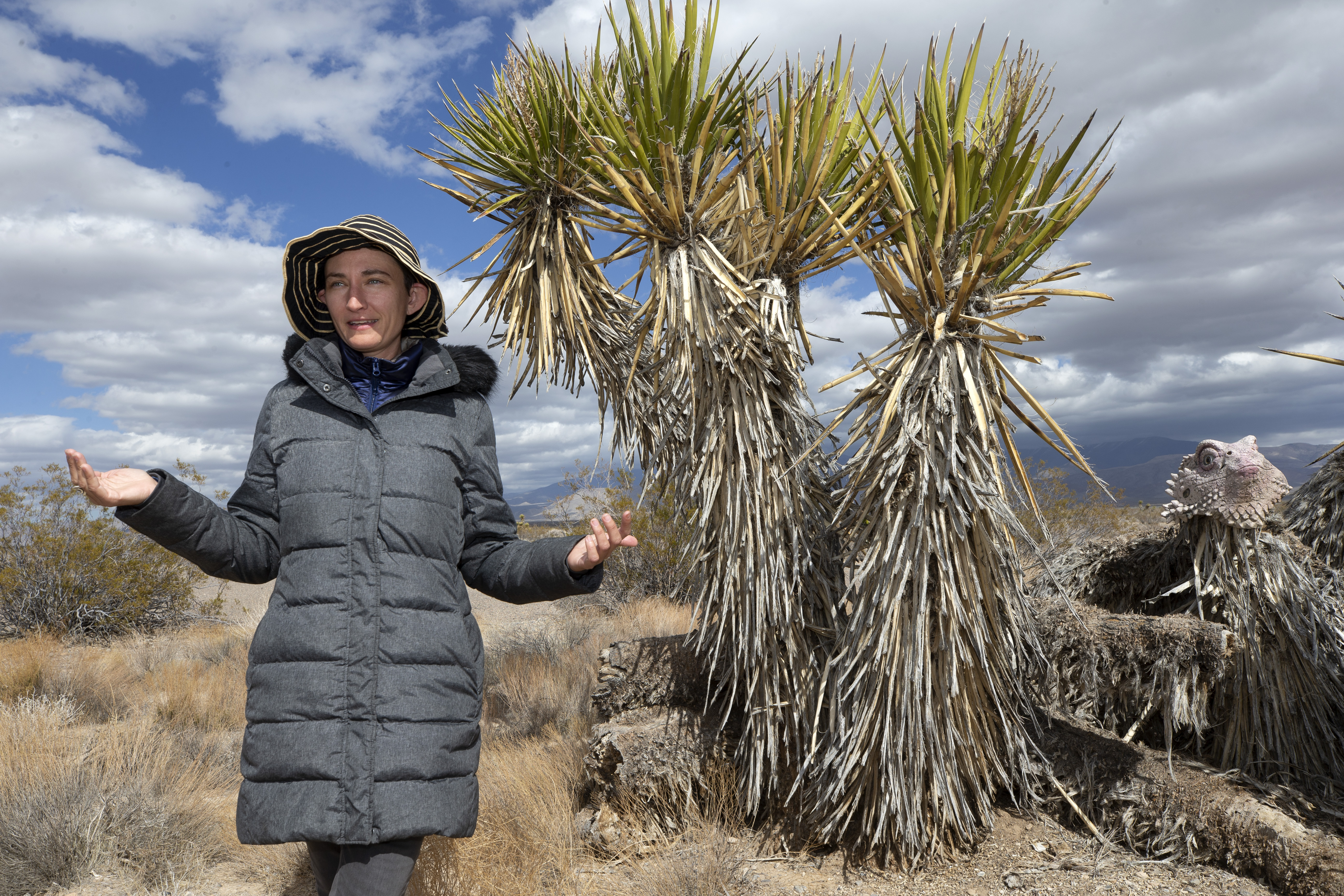 Advocates see landscape toll of Nevada green energy projects