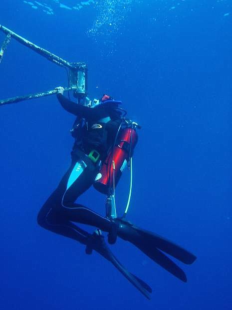 UC Davis Tahoe Environmental Research Center diver Katie Webb gathers underwater film footage in Lake Tahoe.