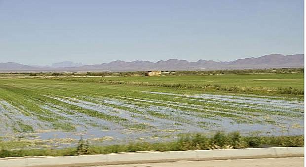 University of Nevada Cooperative Extension offers irrigation management workshops next week  to help producers irrigate more effectively with less water.