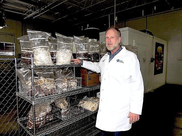 Dr. John Holliday displays bags in which grain and mushrooms produce organic materials for Aloha Medicinals on May 9.