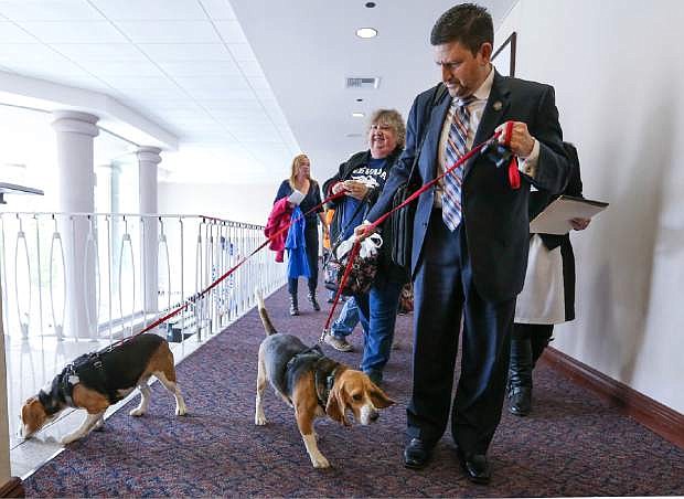 Nevada Sen. Mark Manendo, D-Las Vegas, enters the Legislative Building in Carson Cit on Tuesday with rescue beagles Dean and Luke. Manendo introduced a bill Tuesday that would require labratories that conduct research on dogs and cats to put the animals up for adoption after the study work.