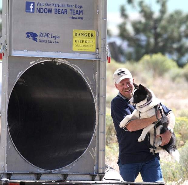 Carl Lackey smiles and praises 5-month-old Dazzle during a bear training session. Lackey used Dazzle to coax a 500 pound bear out of the trap during a release on Kingsbury Grade on Monday.