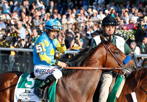 American Pharoah with Victor Espinoza up parades to the starting gate before the 147th running of the Belmont Stakes horse race on June 6.