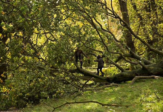 Two brothers play on a tree that was blown over in a storm on Hampstead Heath in north London, Monday, Oct. 28, 2013.  A major storm with hurricane-force gusts has lashed southern Britain, causing flooding and travel delays including the cancellation of roughly 130 flights at London&#039;s Heathrow Airport.  Weather forecasters say it is one of the worst storms to hit Britain in years.  (AP Photo/Matt Dunham)