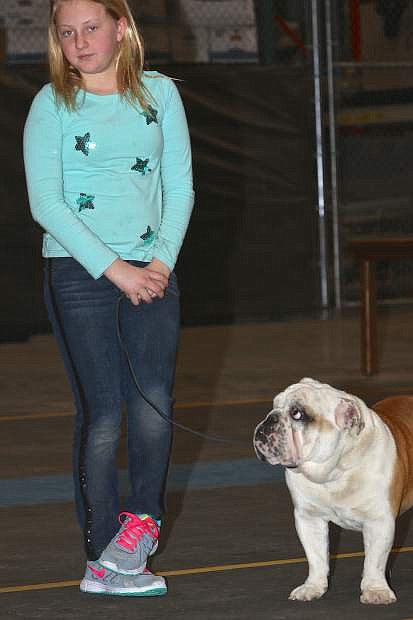 Ten-year-old Kylie Compton of Minden and her English Bulldog &#039;Kaepernick&#039; listen and learn during a conformation class at Revolution Dog Sports&#039; Barn Hunt Trials on Saturday in Carson City.