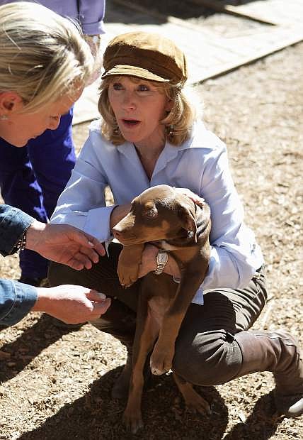 Foster parent Cathy Spector holds Diva, one of the six surviving Dumpster Puppies for which she and her husband, Larry, cared.