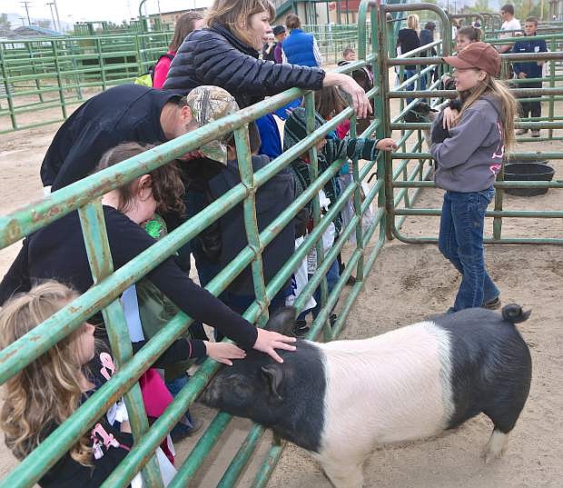 10-year-old Kelly Strasser (top, right) talks to farm tour participants about 5-month-old Hampshire-Yorkshire cross pig &#039;Frankie&#039; Friday at Fuji Park.
