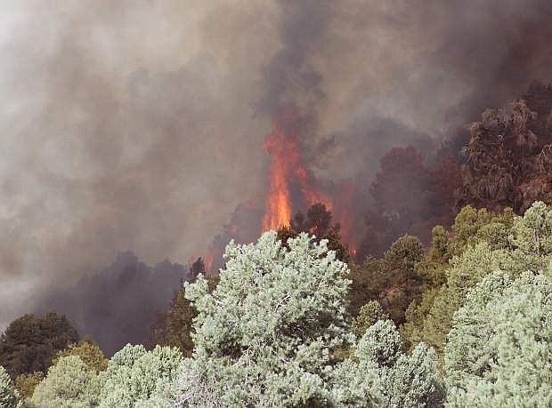 One of the worst fires in the BLM Carson District occurred in August 2015 east of Middlegate.