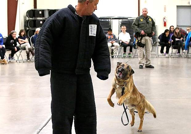 Carson City Sheriff&#039;s Deputy Jimmy Surratt and his former K-9 partner Ary demonstrate their training and special skills for a group of GATE students from Carson Middle and Eagle Valley Middle schools in this file photo.