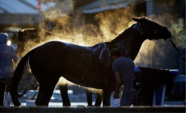 Horses get bathes after morning workouts at Churchill Downs Friday, May 2, 2014, in Louisville, Ky. (AP Photo/David Goldman)