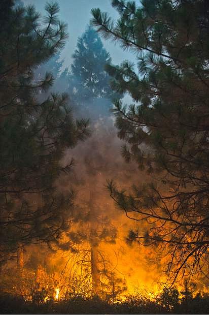 Fire burns through tall trees near Uncle Tom&#039;s Cabin in El Dorado County on Thursday, Sept. 18, 2014. The King fire has burned over 70,000 acres. The wind-whipped fire burned through 114 square miles and was 10 percent contained, according to California Department of Forestry and Fire Protection. (AP Photo/The Sacramento Bee, Randall Benton)