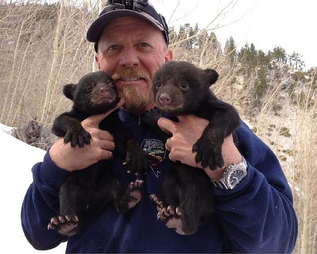 Carl Lackey holds two bear cubs.