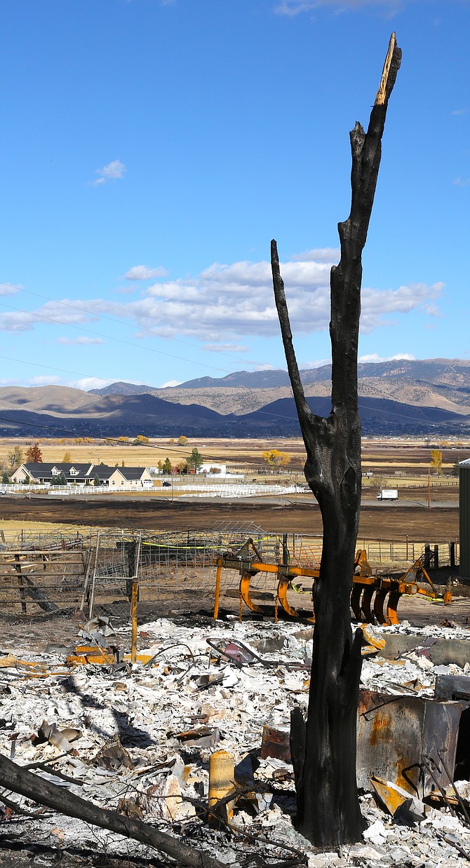 The cause of the Little Valley fire is still under investigation.
