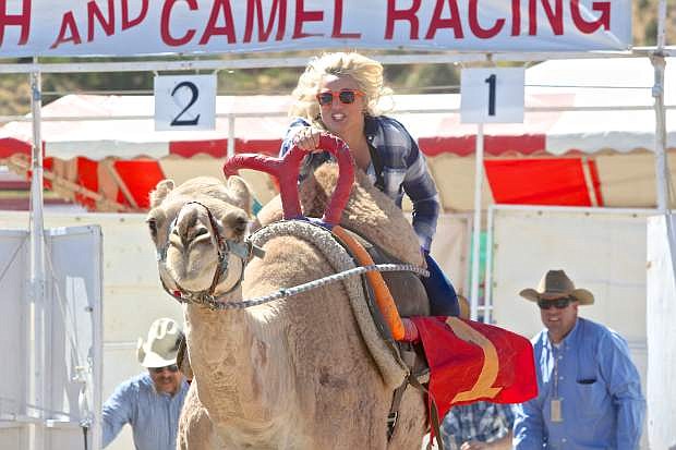 The Appeal&#039;s Molly Moser blasts out of the starting gate during the media race at the 57th Annual Virginia City Camel and Ostrich Races Friday.