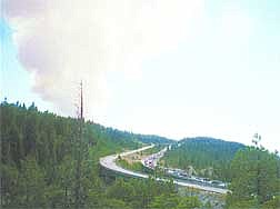 Nik Dirga/Sierra SunA plume of smoke towered over Interstate 80 Sunday afternoon about 4 p.m. in the early hours of the Gap Fire.