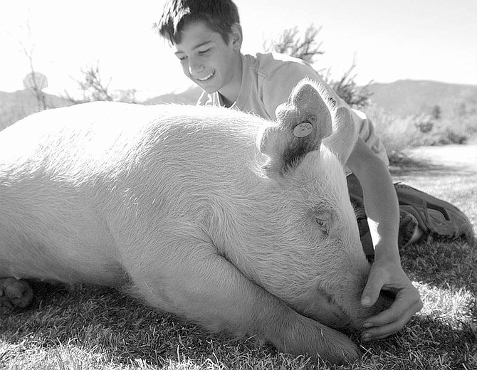Danny Works, 14 hugs his pig Blizzy at Tuesday afternoon at a 4-H Gathering in South Carson.  photo by Rick Gunn
