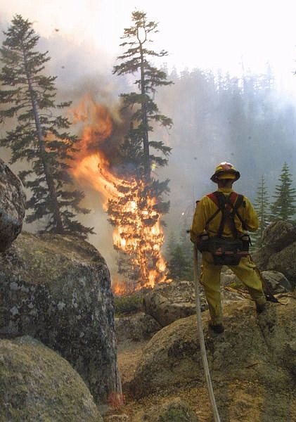 North Lake Tahoe Fire Department Capt. Steve Alcorn waits for water while fighting hot spots on the Gondola Fire Wednesday, July 3, 2002 near Stateline, Nev.  The fire started near the base of the Heavenly Ski Resort gondola and quickly spread to an estimated 200-acres by Wednesday afternoon.  Much of the Kingsbury Grade area was evacuated.  (AP Photo/Nevada Appeal, Cathleen Allison)