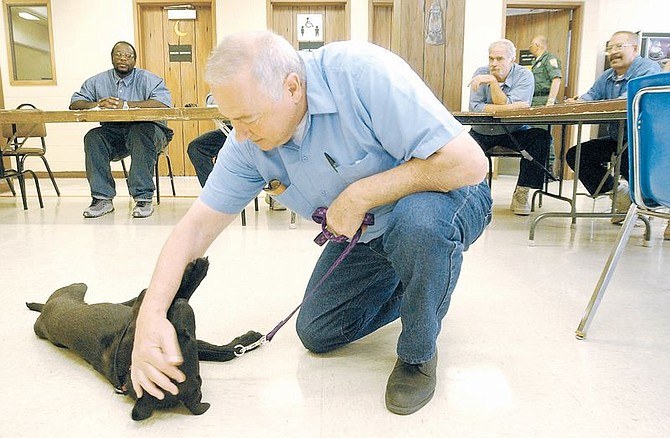 Nevada State Inmate Joe Maresca spends some quality time with &#039;Shadow&quot; during the Puppies on Parole program at the penitentiary. The program put on by the Nevada Humane Society allows chosen Nevada inmates to help train puppies in an attempt to better find them new homes. &#124; Photo by Rick Gunn